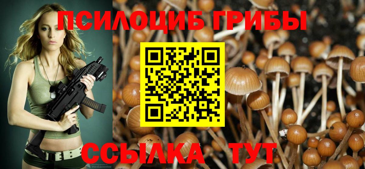 Галлюциногенные грибы Magic Shrooms  где можно купить наркотик  Новороссийск  Вход с VPN  Галлюциногенные грибы мухоморы 